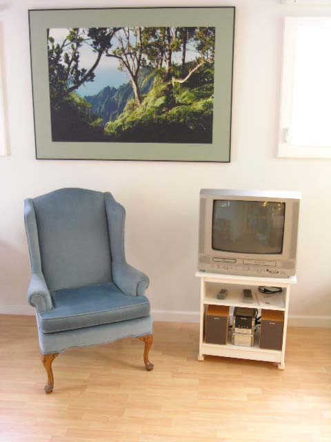 redLRblchairartwindowstv7671.JPG